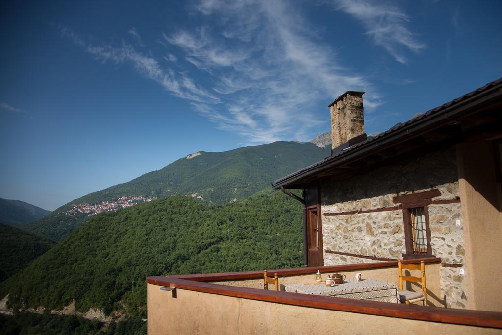Radika View House Apartman Galicsnik Kültér fotó