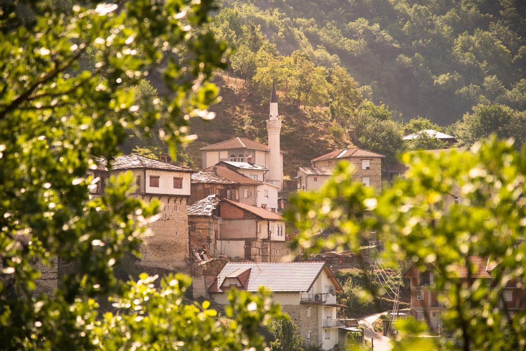 Radika View House Apartman Galicsnik Kültér fotó