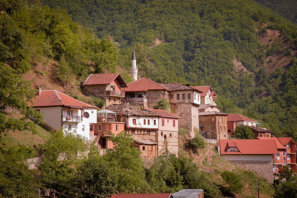 Radika View House Apartman Galicsnik Kültér fotó