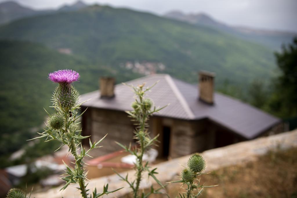 Radika View House Apartman Galicsnik Kültér fotó